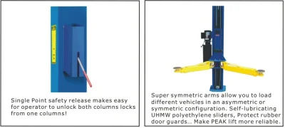 Peak 209C safety and arm restaints
